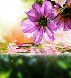 Similar image 8458387