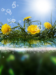 Similar image 8458389