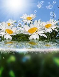 Similar image 8458390