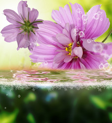 Similar image 8458391