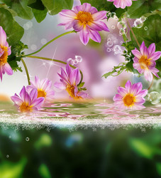 Similar image 8458392