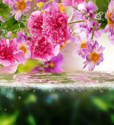 Similar image 8458393