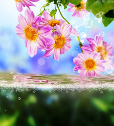 Similar image 8458395