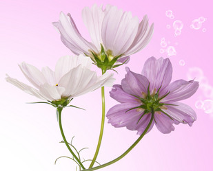 Similar image 8458397