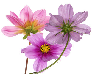 Similar image 8458400