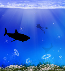 Similar image 8458402