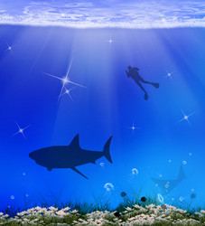 Similar image 8458403