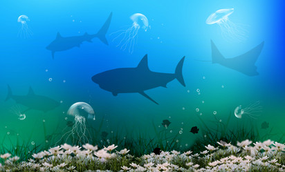 Similar image 8458414