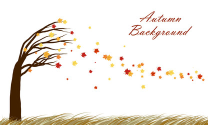 Similar image 8458422