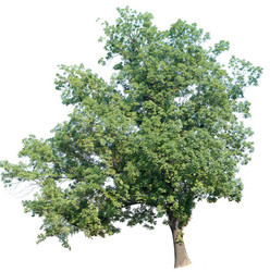 Similar image 8458441