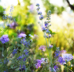 Similar image 8458492