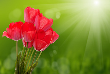 Similar image 8458495