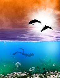 Similar image 8458508