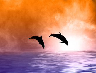 Similar image 8458509