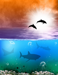 Similar image 8458511