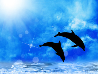 Similar image 8458512