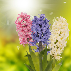 Similar image 8458514