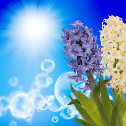 Similar image 8458515