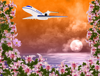 Similar image 8458523