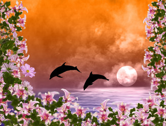 Similar image 8458524