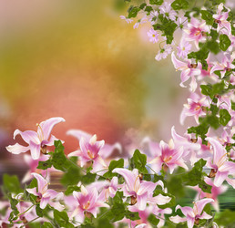 Similar image 8458525