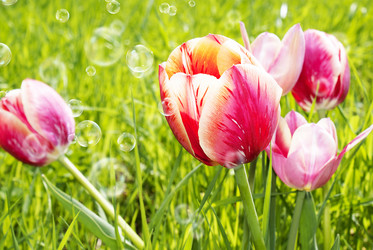 Similar image 8458530