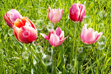 Similar image 8458531