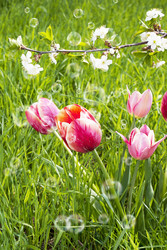 Similar image 8458532