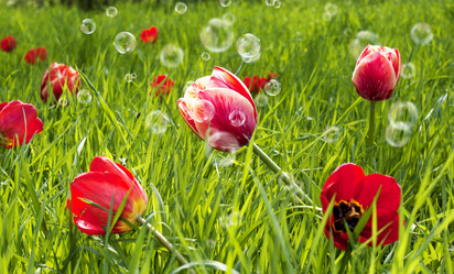 Similar image 8458533