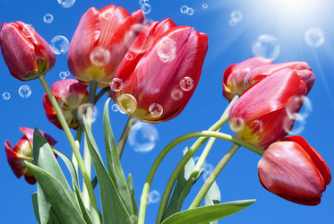 Similar image 8458534