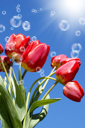 Similar image 8458535