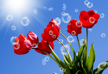 Similar image 8458536