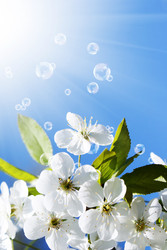 Similar image 8458537