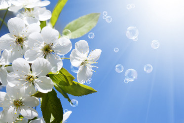 Similar image 8458538