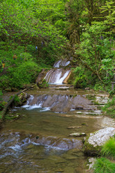 Similar image 8458591