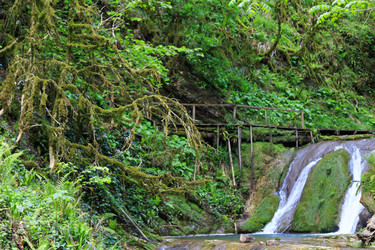 Similar image 8458594