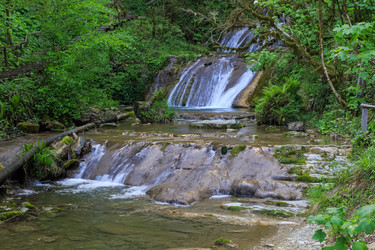 Similar image 8458599