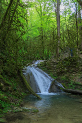 Similar image 8458600