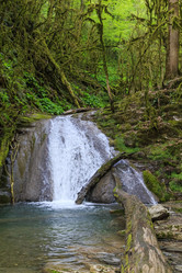 Similar image 8458601