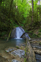 Similar image 8458603