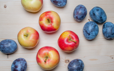 Similar image 8458715