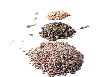 Similar image 8458750