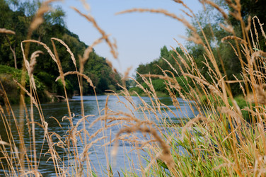 Similar image 8458761