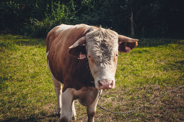 Similar image 8458762