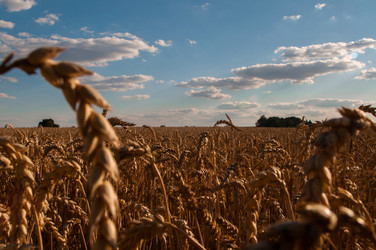 Similar image 8458774