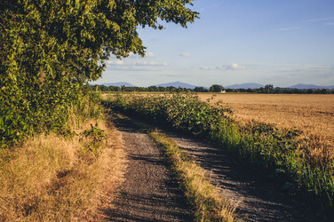 Similar image 8458777