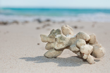 Similar image 8458790