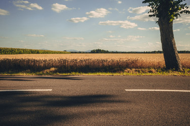 Similar image 8458800