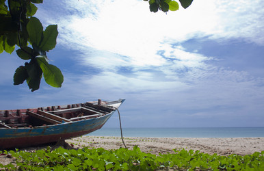 Similar image 8458811