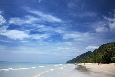 Similar image 8458814